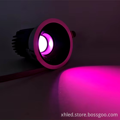 High Quality Home Decoration 20W RGBW SPI USC2904 LED Downlight Spotlight